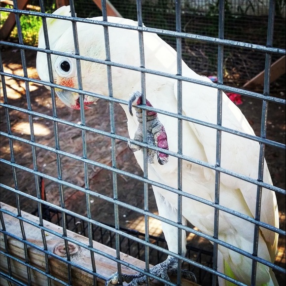 Meet your seller/buyer/clothes enthusiast - Picture 14 of 16